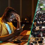 Revelado: 10 empresas levam ao mercado de ações nigerianas estende um forte desempenho