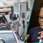 Revelado! A refinaria de Dangote anuncia novos preços a gasolina, os proprietários de depósitos respondem