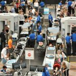 A segurança do aeroporto geralmente pode parecer uma corrida caótica, com fluidos, eletrônicos e outros pertences que precisam ser rapidamente organizados e atirados através dos scanners