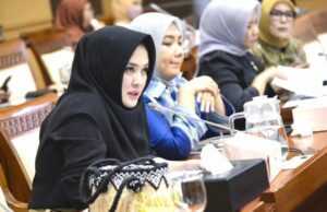 Sarifah pede um problema branco de um acesso Starlink ao acesso Sarifah pede um problema branco de um acesso Starlink ao acesso