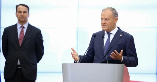 Sikorski é um primeiro -ministro melhor do que presa? Resultados surpreendentes da pesquisa

