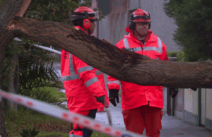 Tempestades de neve, ventos eficazes trazem devastação para vários estados Tempestades de neve, ventos eficazes trazem devastação para vários estados