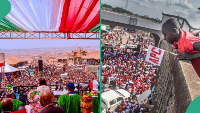 Tensão, sentença como PDP, APC, declarada como um grupo terrorista do tribunal

