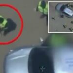Terroristas armados mortos, fingindo ser funcionários globais de cozinha em gás: IDF