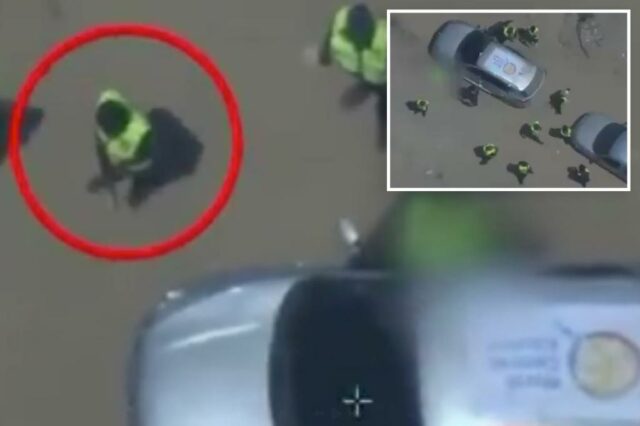 Terroristas armados mortos, fingindo ser funcionários globais de cozinha em gás: IDF

