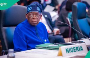 Tinubu aplaudiu depois de consumir o desenvolvimento de organizações terciárias novas Tinubu aplaudiu depois de consumir o desenvolvimento de organizações terciárias novas