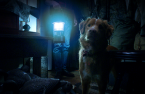 Trailer para bom menino: um cachorro muito bom está em uma casa assustadora Trailer para bom menino: um cachorro muito bom está em uma casa assustadora