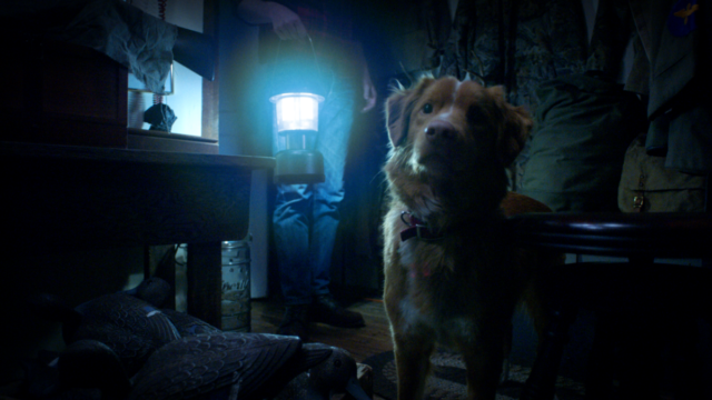 Trailer para bom menino: um cachorro muito bom está em uma casa assustadora



