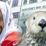 Travis Kelce e Otters Sea Hetty 1