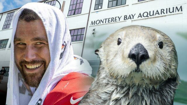 Travis Kelce e Otters Sea Hetty 1
