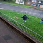 Este é o momento em que um caminhante de cachorro é perseguido por uma gangue, que se apeluziu os 'três mosqueteiros', minutos antes de ele ser esfaqueado até a morte em plena luz do dia