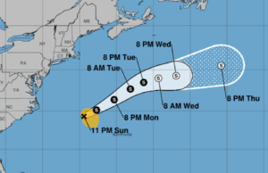 Trinker Trinker Tropical dexter mostra a rua pelo Atlântico Trinker Trinker Tropical dexter mostra a rua pelo Atlântico