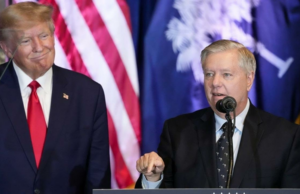 Trump Grintyy Gram Cram Gram Gram Gram Gram Centry confirma durante o inesperado chamador Trump Grintyy Gram Cram Gram Gram Gram Gram Centry confirma durante o inesperado chamador