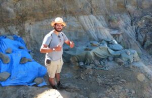 Um estudante de pesquisa descobriu uma nova espécie de libélula da era dos dinossauros em Badlands de Alberta Um desenho de uma libélula em um fundo branco.
