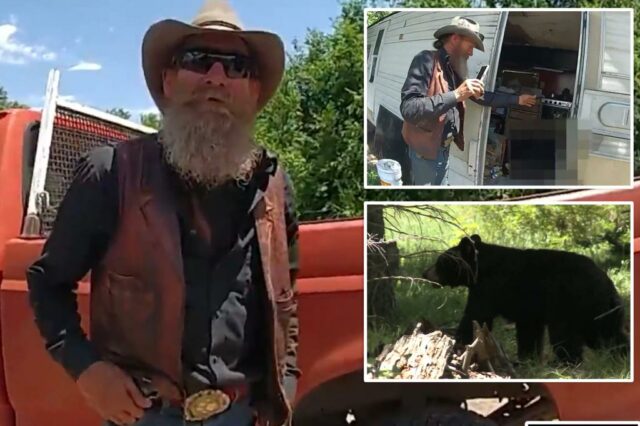 Um homem do Novo México atira terminal em um urso preto que invadiu seu trailer: "Entrei, eu o matei"

