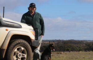 Uma abordagem que é direcionada e sofisticada para criar algumas das melhores lãs brancas em WA Uma abordagem que é direcionada e sofisticada para criar algumas das melhores lãs brancas em WA