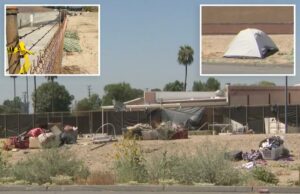 Uma mulher morta perto do parque da Califórnia após um pacote de cães vadios, pit bull por argilas Uma mulher morta perto do parque da Califórnia após um pacote de cães vadios, pit bull por argilas