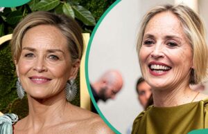 Uma olhada nos cônjuges e namorados de Sharon Stone ao longo dos anos Uma olhada nos cônjuges e namorados de Sharon Stone ao longo dos anos