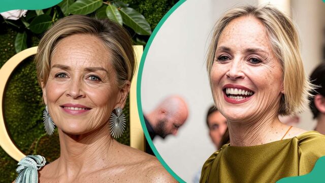 Uma olhada nos cônjuges e namorados de Sharon Stone ao longo dos anos

