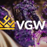 A operadora de jogos sociais on -line VGW confirmou uma parceria condicional com a nação Kletsel Dehe Wintun da tribo Cortina Rancheria na Califórnia.