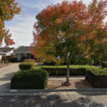 6694 Mount Forest Drive - Google Street View