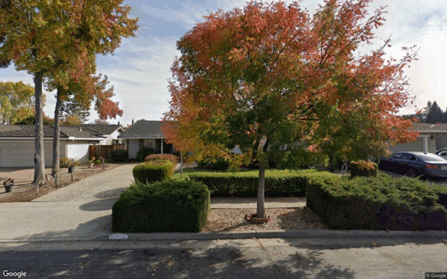 6694 Mount Forest Drive - Google Street View