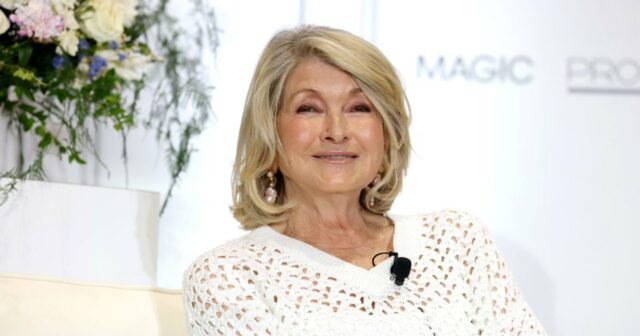 Vestido de manga longa do canal de Martha Stewart com essas seleções que prendem a aparência

