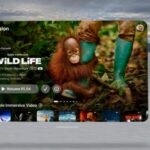 Vídeo imersivo da Apple Vision Pro explora os orangos do Bornéu em detalhes de tirar o fôlego