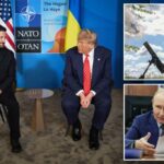 Zelensky, líderes europeus que conversaram com Trump antes de Putin Summit