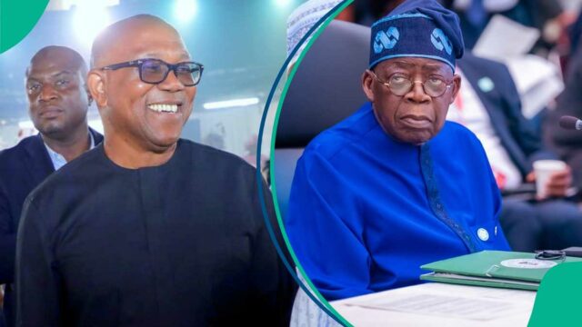 2027 Eleição: o poderoso profeta revela profecia sobre como Peter Obi pode se tornar presidente, derrotar Tinubu, ver detalhes e assistir ao vídeo


