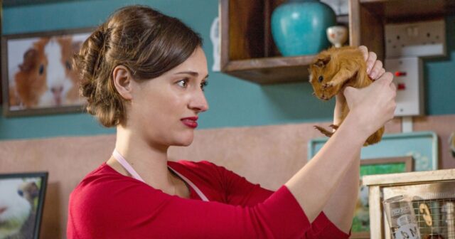 Abby Elliott no urso