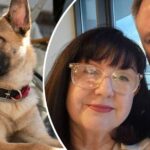 Shellie Holmes e Matt Huey querem novas regras introduzidas em cães em locais públicos.