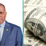 A CBN revela por que as reservas externas da Nigéria estão aumentando