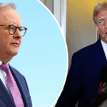 A Casa Branca trouxe ofertas de esperanças de esperança da reunião de Trump-Albo