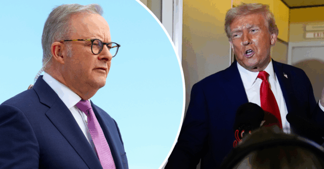 A Casa Branca trouxe ofertas de esperanças de esperança da reunião de Trump-Albo

