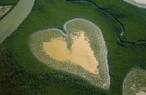 A Federation International vende a ‘natureza’ de Yann Arthus-Bertrand para ZDF, Ceska Television e estabelece testes de reputação no Unifrance Le Havre Display (exclusivo) A Federation International vende a 'natureza' de Yann Arthus-Bertrand para ZDF, Ceska Television e estabelece testes de reputação no Unifrance Le Havre Display (exclusivo)