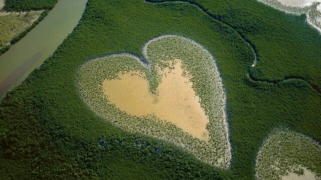 A Federation International vende a 'natureza' de Yann Arthus-Bertrand para ZDF, Ceska Television e estabelece testes de reputação no Unifrance Le Havre Display (exclusivo) 

