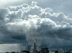 A Indonésia apreende parte do local do níquel por violações florestais A Indonésia apreende parte do local do níquel por violações florestais