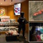 A República Dominicana diz que apreendeu 377 pacotes de cocaína na lancha destruída pela Marinha dos EUA