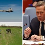 A Rússia risca a "expansão" da guerra com intrusões no espaço aéreo da OTAN, diz Waltz no primeiro discurso público como embaixador da ONU