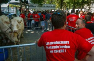 A UE apresenta o acordo Mercosur para a aprovação dos Estados -Membros A UE apresenta o acordo Mercosur para a aprovação dos Estados -Membros