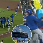 A afiliada do Brooklyn, do Mets, vence o campeonato da Liga Atlântica Sul