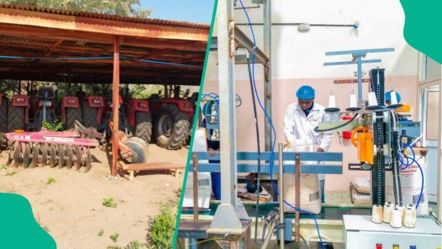 A economia da Nigéria impulsionada pelos empreendimentos inovadores e sustentáveis ​​da AA & R

