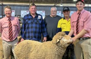 A forte licitação foi uma característica, com entusiasmo renovado da indústria A forte licitação foi uma característica, com entusiasmo renovado da indústria