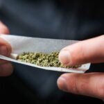 A maior potência da maconha hoje é uma preocupação crescente quando se trata de possíveis danos à saúde, dizem especialistas.