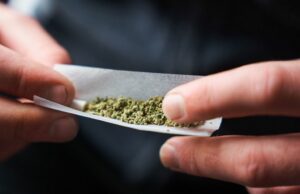 A maconha pode causar defeitos cromossômicos em células de ovo humano, o estudo encontra A maior potência da maconha hoje é uma preocupação crescente quando se trata de possíveis danos à saúde, dizem especialistas.