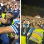 A polícia investiga os fãs da NRL na partida final