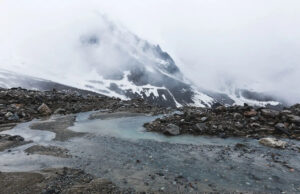 A preocupação com o cientista, cautamente, depois de encontrar a sensação de preocupação nos Estados Unidos e no Canadá: ‘Precisamos começar a preparar’ Yahoo news home
