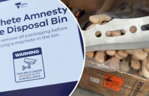 Agora é contra a lei possuir um facão em Victoria facões