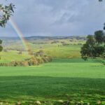 Agricultura ou desenvolvimento nos cartões neste bloco de atletas por US $ 10 milhões